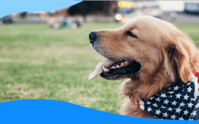 Red, White, & Prepared