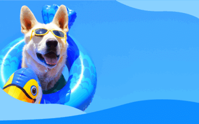 The Heat is On: Safeguard Your Pet With These Helpful Tips.