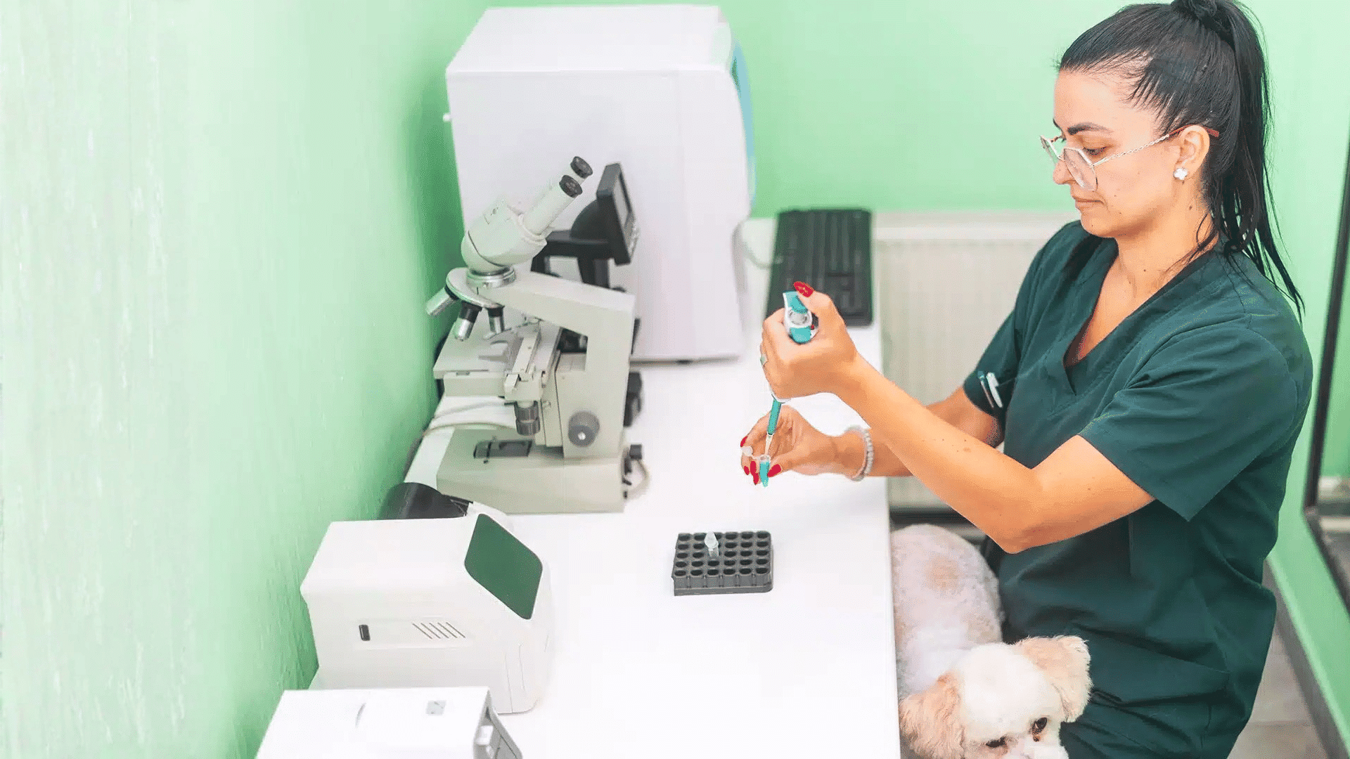 Veterinarian using a pipette for lab testing while a small white dog sits on her lap.
